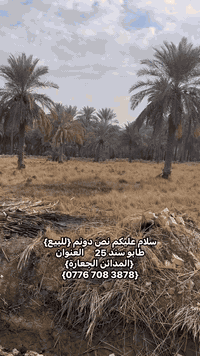 نص دونم {للبيع} طابو سند 25📍العنوان {المدائن الجعارة} الارض مخدومة بال...