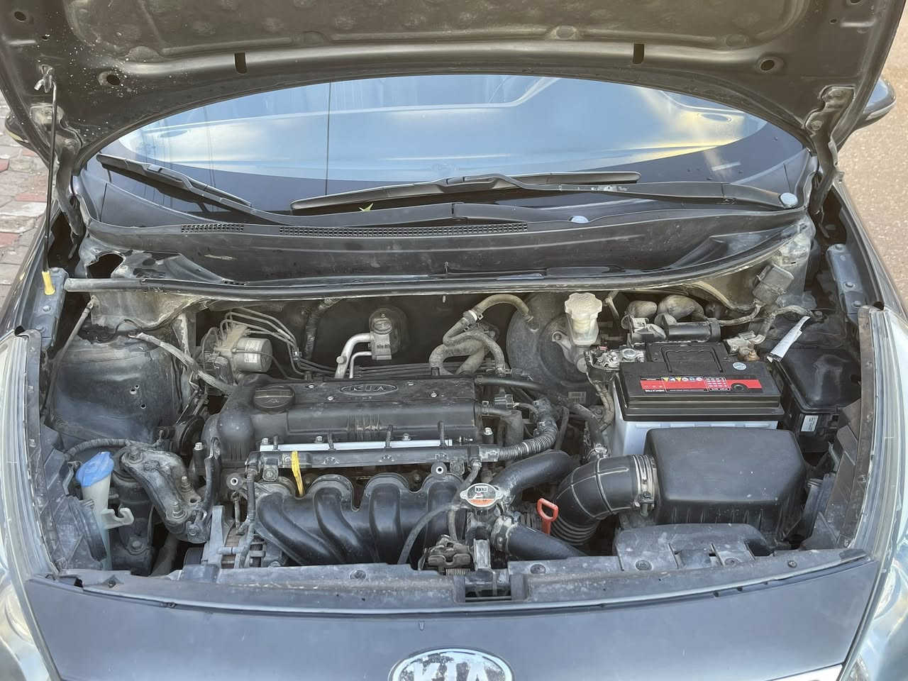 سلام عليكم
KIA RIO 
2014
السياره فول مواصفات
ماشيه ١٩٠ الف كيلو  
فتحه وكشنات جلد مدوشمه اني 
تايرات جديده باتري جديد 
عليه ادامه كامله مال بانزين نوزلات وفيول بمب كله جديده 
محرك ممفتوح 
بيه جاملغ خلفي وباب ودوسه صبغ 
الرقم جديد والسنويه لل2028 
فحص وهزه جديده 
كير محرك تبريد كهربائيات كله شرط  
رايده ب٩٠  وبيه مجال 
السياره بس تحويل بس احوله بدون وكاله 
وهذا رقمي  بي واتساب 
مكان السياره اربيل  
***********
