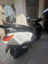سبيسي • ياباني • كفالة