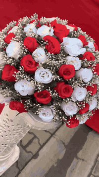 معرض الزيدي • خيم اعراس • اجهزة صوت