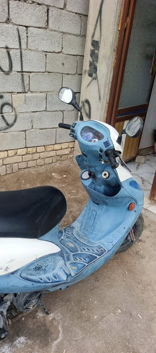 كامكو نوزل كله بلاديه ع وضع الشركه شغاله من الطول للطول/***********
