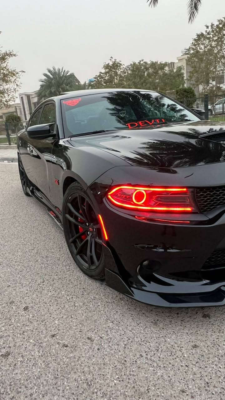 جارجر rt max 2023

*قبل كلشي .. حلالي عندي وفلوسك عندك .. تشوفهة غالية انشالله تلگة الاحسن والارخص منهة وربي يوفق الجميع ..

جارجر rt max 2023 فول مواصفات للاخير شنو بالك مواصفة بيهة..

*ركز بالموديل والحادث والمواصفات والتزويد وبالمشي ..
*المشي 31 الف كيلو وليس ميل ..

*السيارة كفالة عامة من الصبغ والبارد والتدبل وحتى من الشخط" الحادث فقط جاملغ امامي ايسر ومبدل نفس اللون "  بدون دواخل بدون ايرباك بدون شاصي ..

"رادار امامي "نقطة عمياء " فتحة " كشنات كنتارا " كشنات الامامية تدفئة تبريد وكهرباء " خزن كشن السايق " مري قلاب وية البگ " حتى سستم الصوت هارمن كاردن وهذا السستم قليل يجي بال5700 “ بطاين ودشبول جلد .. وباقي المواصفات المعروفة ..

*الاضافات والتزويد :
1-هدرز لونگ تيوب JBA 
2-داون پايب ستل ستيل شغل علي الوادي
3-اكسل قفل LSD 3.09
4-شوتة afe مغلقة
5- كاچ كان K&N امريكي اصلي 
6-منظومة بربك برمبو 6 بستم
7-عينة حمرة مال هيلكات عداد 200
8-درگة(كنتارا) تجي بالهيلكات ريد آي والجلبريك
9-بصمة تشغيل هبلكات حمرة (بالدشبول)
10-دواخل الياف كاربون طافي (دشبول وگير)
11-اوراكل متغير مازدات
12-سستم انارة داخلية محيطية
13-مغلفة ppf بالكامل ضمان عشر سنوات
14-فلاتر التبريد والدهن اصلية من شركةK&N
15-كبسولة ايرباك ضوئية تجي بالريد آي والجلبريك

*السيارة مفتوح عقلهة ومبرمجة يم مصطفى إيگل 
*حدادية وتخم تاير كلة جديد
*ملاحظة / السيارة مانازلة اي استعراض

رقم صاحب سيارة ***********
