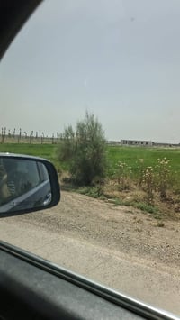 ✅ جايبلك 3دوانم سند مستقل سعر الدونم 21مليون فرصه ذهبيه ع شارع التبليط...