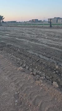 بابل • ٢٠٠م • طابو زراعي