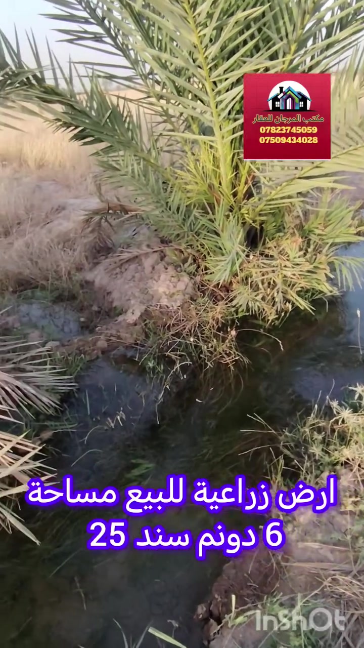 ارض زراعية للبيع مساحة 6دونم
♦️ طابو زراعي سند 25 خدمات كاملة
♦️وجه 70م نزال 175م تقع ع شارعين زنجيل
الموقع بغداد اليوسفية حي الشهداء يبعد عن السكن ٥ كيلو متر
استفسار
***********-***********
#نستقبل_كافة_العروض_بيع_شراء
