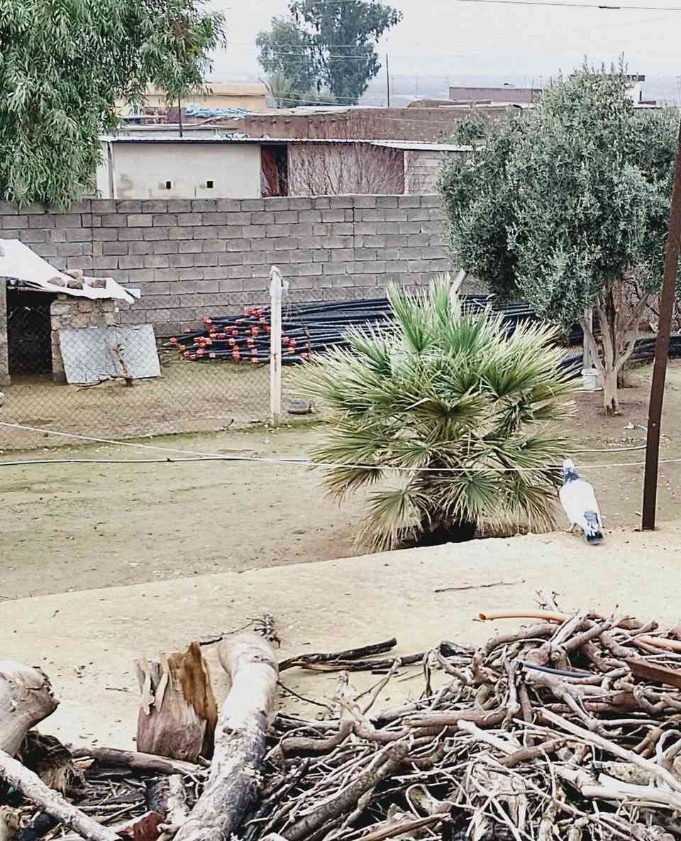 للبيع عدد اربع السعر الجوز ب5


**إذا كنت صاحب هذا الإعلان وتريد حذفه لأي سبب، رجاءا أرسل رسالة إلى الدعم الفني**