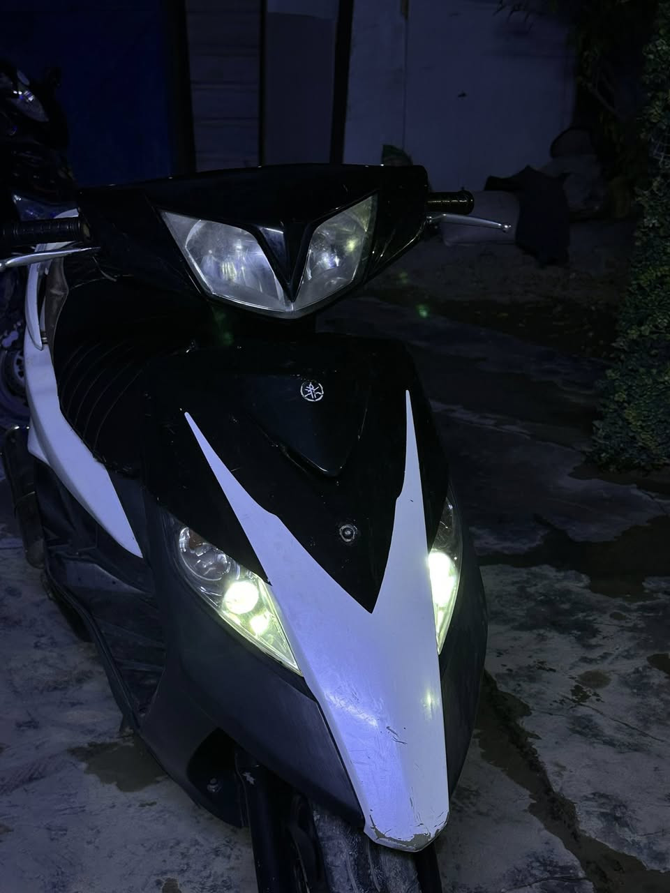 السلام عليكم 
ثعلب للبيع 
بغداد العامريه 
***********
سعر ب 500 وبيهة مجال
