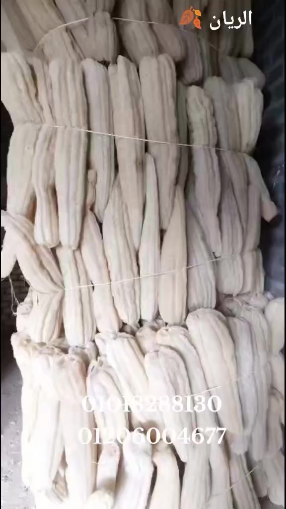 🌙✨ عرض خاص لشهر رمضان ✨🌙
🎁هدية رمضان من لوف الريان🎁 
 بمناسبة حلول شهر الخير، خصم 25% على جميع منتجات شركة الريان للوف الاستحمام طوال شهر رمضان المبارك.
استمتع بنعومة فائقة وجودة تدوم، لأننا نؤمن أن الانتعاش يبدأ من "باب الريان".
✨ اطلب الآن واجعل رمضانك أكثر حيوية
"أرسل كلمة (رمضان) في رسالة لتعرف قائمة الأسعار الجديدة."
٠١٠١٨٢٨٨١٣٠🇪🇬
٠١٢٠٦٠٠٤٦٧٧🇪🇬
00201018288130 ⛴️🛩️.        جوده تستحق الثقه💯
00201206004677⛴️🛩️
#شركةالريان.


**إذا كنت صاحب هذا الإعلان وتريد حذفه لأي سبب، رجاءا أرسل رسالة إلى الدعم الفني**