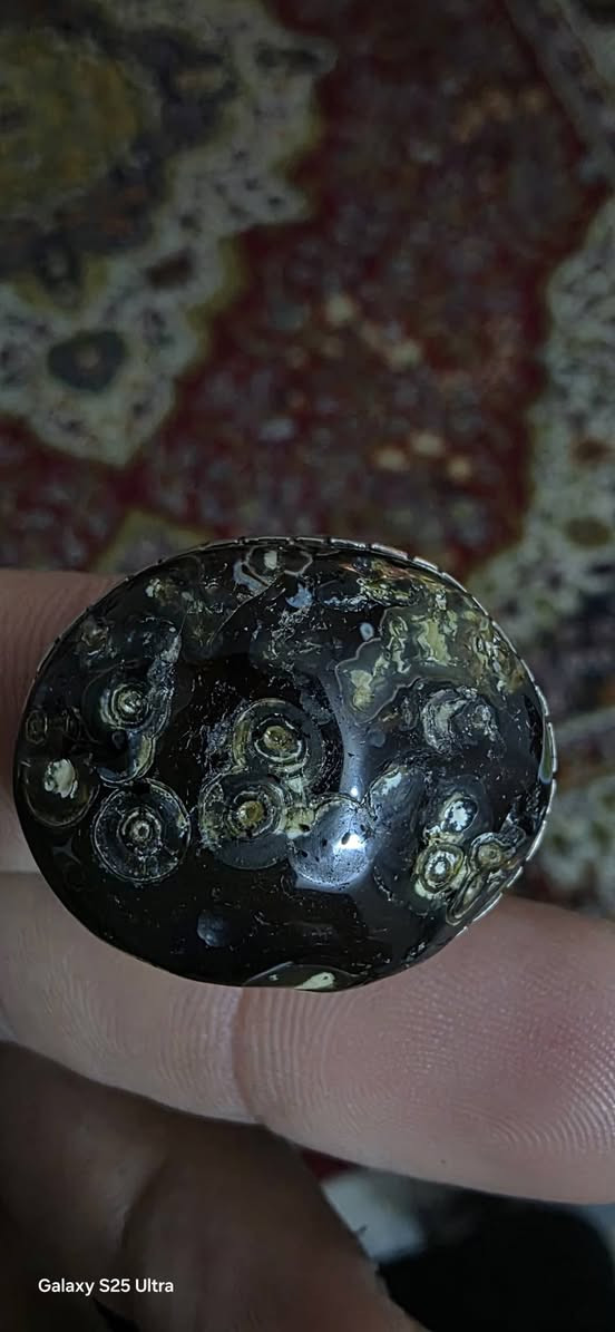 اسلام عليكم للبيع
اسليماني احمر
داوودي اسود
ماعندي توصيل قيم باليرضي الله حجر وفضه اصلي
مكاني الرمادي ***********
