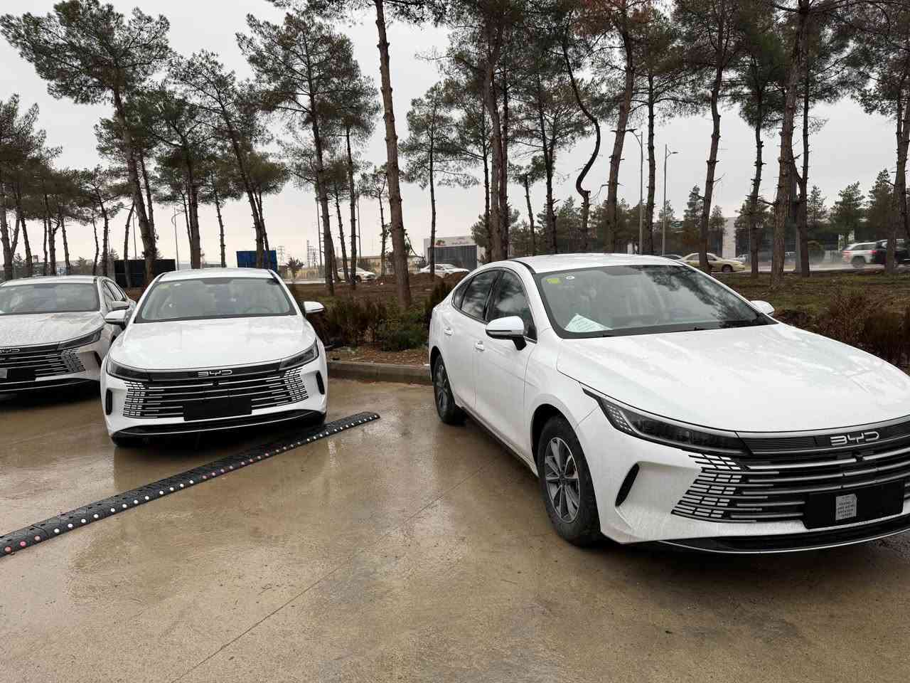 سەرجەم ئۆتۆمبيلە صینیەکان بۆ فرۆشتن
byd seal 05 سپی
byd seal 05 رەش
byd qin plus ناو زەرد
byd destoryer 05 صڵاید
byd destroyer 05 بێ صلاید
corollay 2025 شکڵ تازە
corollay 2025 شکڵ خلیج
byd seal 05 flagshib قپات
MG 3 standart 2024
MG 3 standart 2025
MG GT 2025 ful
بۆ زانیاری زیاتر پەیوەندیمان پێوە بکەن
***********
*********** السليمانية, العراق

