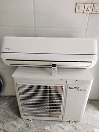 سبلت • طن ونص • ديوانية