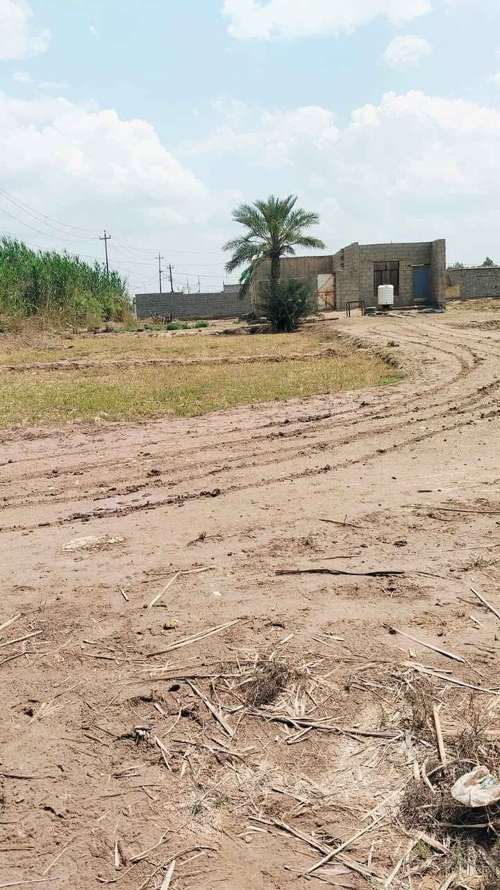 سلام عليكم بيت  للبيع عقد زراعي 35 كوت نهاية  السفحه خلف السكلات بيت  سقف عادي مساحة الارض 2دونم يتوفر مي اساله كهرباء ومولد للاستفسار 
***********
***********
