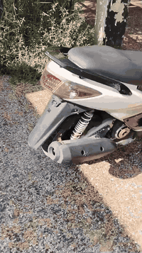 دراجه ياباني لبيع جديده  مكاني البصرة قضاء المدينة ناحية عز الدين السليم  وهاذ رقمي بية وتساب ***********6
***********
 هاي ارقامي فقط اجوب على  وتساب
