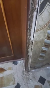 ✅ تعتبر حشرة الارضة من المشاكل المزعجة والمدمرة التي تؤثر على المنازل ...