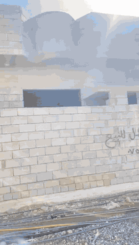 هيكل • القوسيات • ١٠٠م