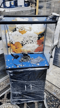 #متاح #50 سم #نزال 30 سم ارتفاع 50 سم ارتفاع الكلي 117 سم مكاني بغداد الحسينيه ***********
