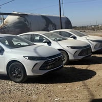 كن بلص • ٢٠٢٥ • المثنى الرميثه