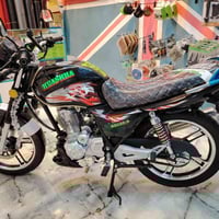 دراجة هيوشة • موديل 2024 • أوراق منفيس