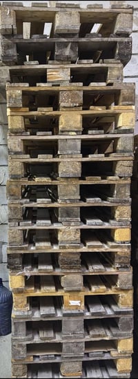 سكيبات • ٨٠*١٢٠ • أوربي