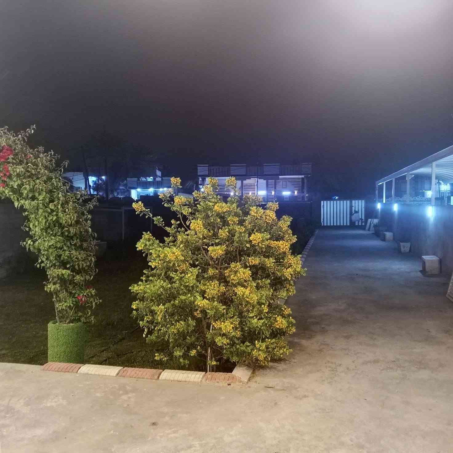 فله فول مواصفات بيه مزرعه شغل حديث اسباني بيه ٣ غرف نوم بيه مضيف عرضه ٨متر شغل درجه اولى مساحه1000/25متر ديلوكس فله راقيه جدا عنوان بغداد منطقه شرطه الخامسه منطقه الدوانم قرب السيديه؟؟ سعر 385مليون *********** بغداد, العراق
