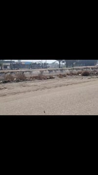 حي تومان • ١٥٠م • زراعي