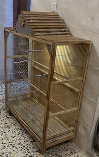 قفص • جديد • بغداد