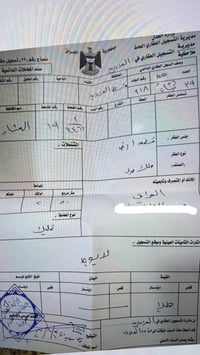 العزيزيه • ١٢٥م • شارع ٤٠