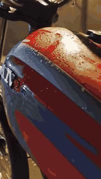 دراجه ايراني • مكفوله • بصره جمعيات