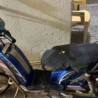 موطور شحن • كهربائي • صقلاويه