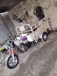 ستوتة ام الطير • مكفولة • كهربائيات شغالة