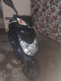 سكنس فحل • كابريته • معدل
