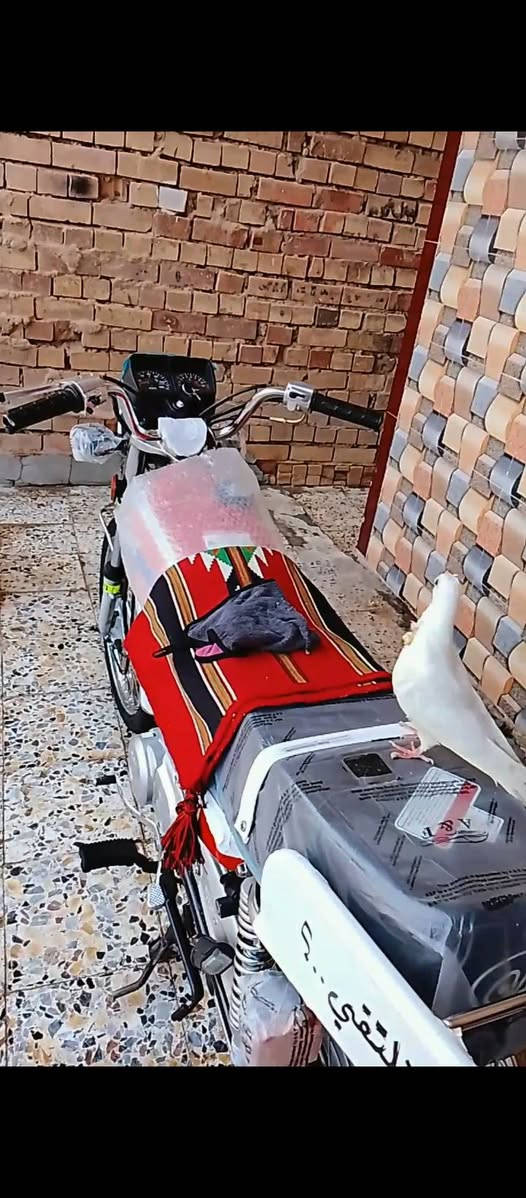 سلام عليكم دراجه للبيع رقم مداور ثاني يوم بيع مستعجل اعاده نشر بسبب وعود كاذبه  الشراي يراسلني أو يتصل ***********
