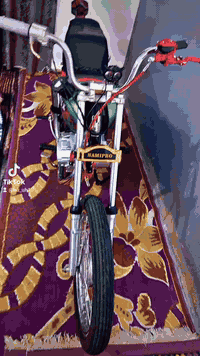 طويريج • موديل 25 • مع اوراق