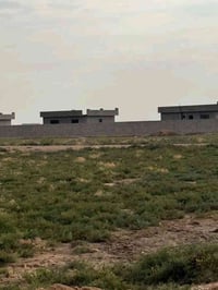 ٢٥ دونم • طابو زراعي • قرب جامعه ديالى