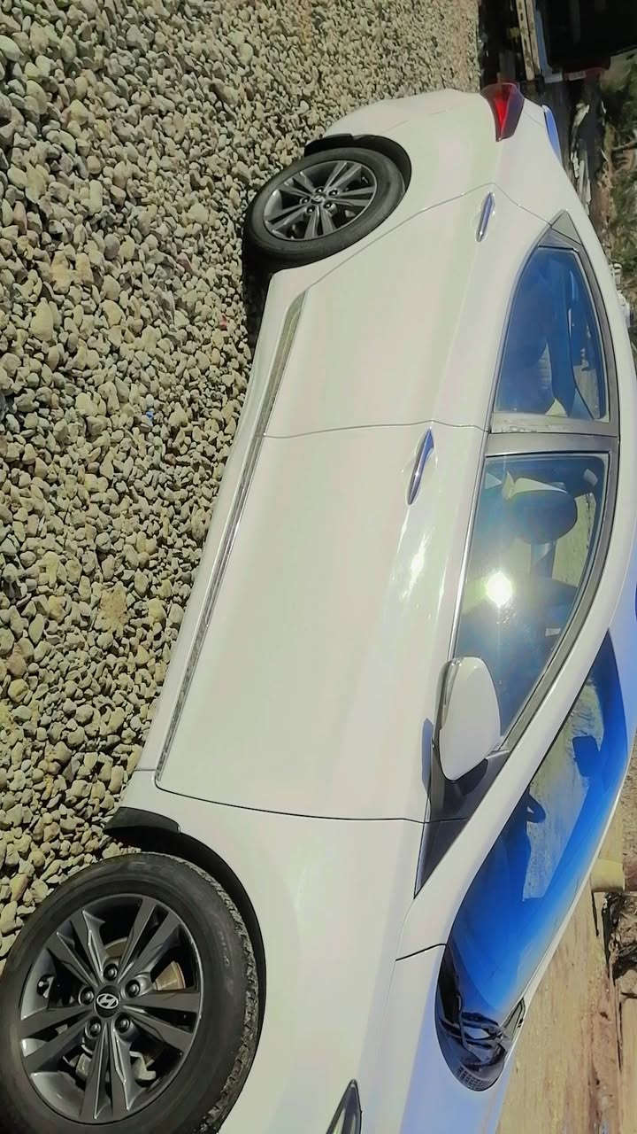 ***********
الانترة 2016 بيع او مراوس بأسمي كفالة فقط شبر صبغ مراوس اوباما
