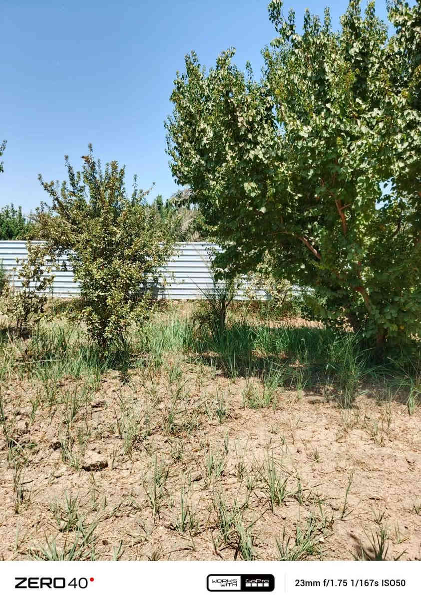 السلام عليكم  الف متر للبيع  السعر 55 وبيها مجال العنوان بغدادالراشديه  الاتصال على الرقم ***********
