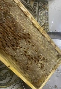 عسل طبيعي • متعدد الازهار • ديالى الخالص