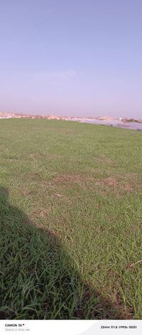 ثيل طبيعي مغطه للبيع ثيل درجه واله ‏‪07783267643‬‏