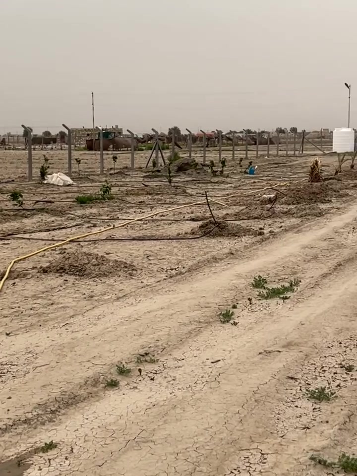 دونم واجهة عشرين على طريق الدغارة مقابل معمل الطابوق نزلة سبيس 800 متر عن التبليط ،كهرباء وانارة للمنطقة كاملة التيولة والانارة بس باقي تغذية بالنسبة للماء خلف الدونم مباشرتاً مشروع ري صب
الدونم مسيج PRC , يحتوي على كرفان (غرفتين) , وتانكي ماء سعة 5000 لتر و2000 لتر ومنظومة تنقيط كاملة ومنصبة
السعر 25 مليون
***********
