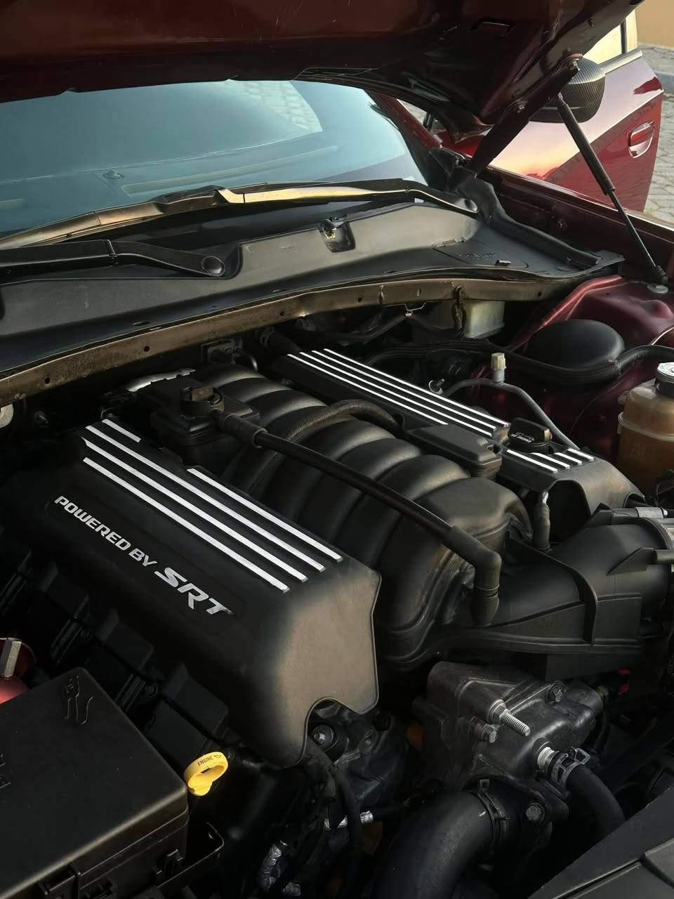 دوج جارجر 2017 SRT scat pack 
محرك v8 (6.4L) 485HP
اللون مميز ماروني وارد كندي 
حادثها فقط بونيد و جاملغ 
بدون شواصي
  ايرباك راجع بيلادي
مواصفات سيارة معروفة
كشنات جلد و كنتارا
كشنات كهرباء 
كشنات خزن
كنات تدفئة
كشنات تبريد
ستيرن تدفئة
سيستم  صالنصا بيلادي صوت حلو

🟪ســعــر   100

و بعد هوايا مواصفات معروفة
حدادية جديدة 
تخم تاير و ويل جديد
سيارة بلاكات Racing
سويت  سيرفس كامل 
ما يحتاج اي مصاريف

رقـــم صـاحــب الـســيــارة
***********
