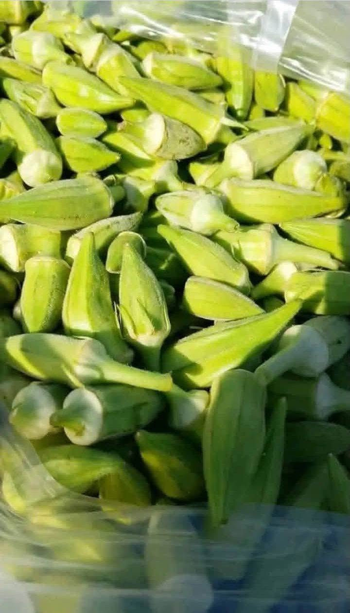 يوجد بامية حوي كل يوم بيومة سعر الكيلو 1500دينار
رقم الهاتف
***********
