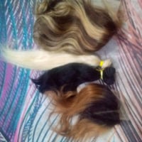 طبيعي • محابس