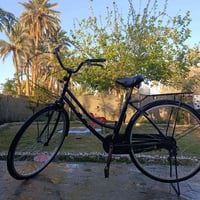 بايسكل • حجم ٢٦ • جديد