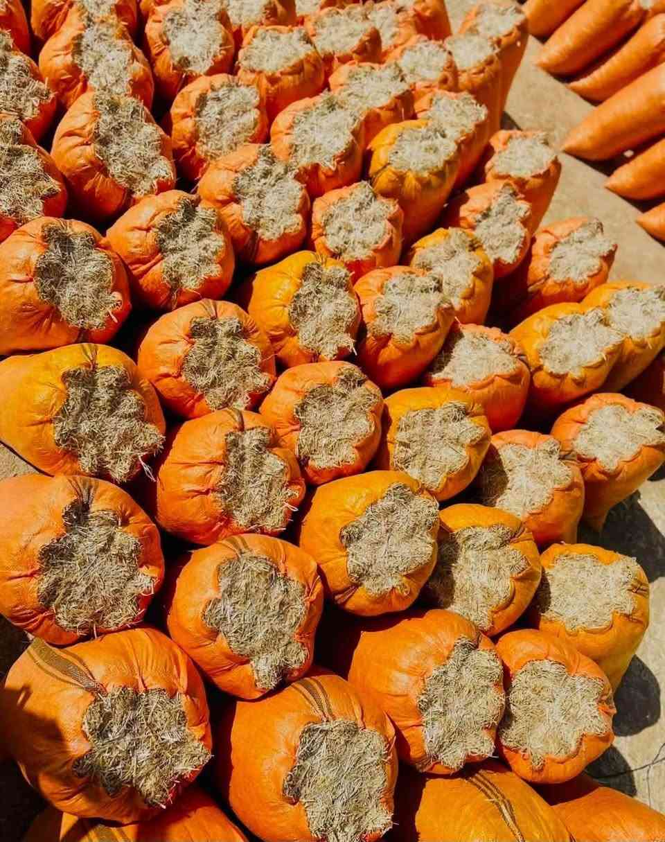 وينه اليدور النضيف تبن ستندر ابيض وناعم ونضيف وترس فول تفرغ ب طوله مالت الحلال گدام السايق موجود جميع القياسات وتوصيل موجود بغداد_محاويل_لطيفيه_بابل_كربلاء_واسط_النجف_ديوانيه_يجيك شرط نفس الصوره اتصل ع رقم متواجد واتساب *********** موجود مطروح وبأنسب الأسعار

