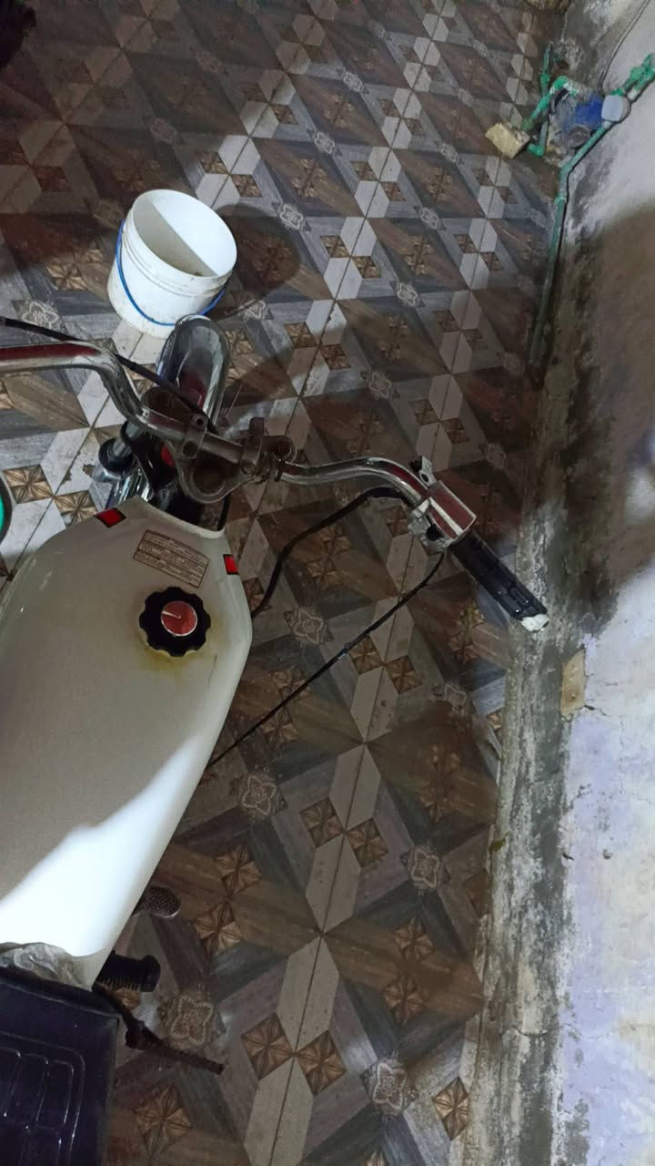 السلام اربعه كير مكينه ارشه دراجه كلشي بيه جديد تايرات تانكي بنزات واير سكليتر واير كلج بلك كله جديد دراجه كلك كلك تجي تاخذه من باب بيتي مفتوحه مره وحده مكاني ديوانيه شارع الوكفه خلف بريد تحدي معروضه ب275
*********** بي واتساب
