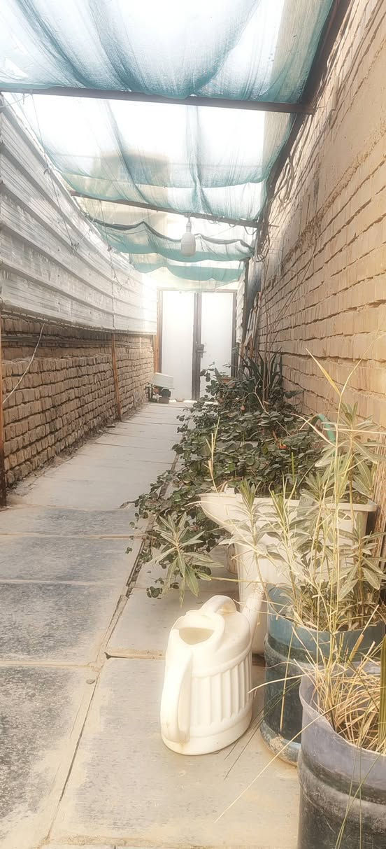 تم اعادة النشر
دار للبيع دولان ملك صرف في حي النهضة الثالثة ، شارع مدرسة الاكرمين
يحتوي البيت على ثلاث غرف نوم و صالة و استقبال ومطبخ وحمام داخلي ، و صحيات خارجية

مساحة البيت 206م 

علماً أن الدار مطلوب للاسكان 10 مليون تزديده الشهري 76 ألف 

للمزيد من المعلومات اتصال على

***********
