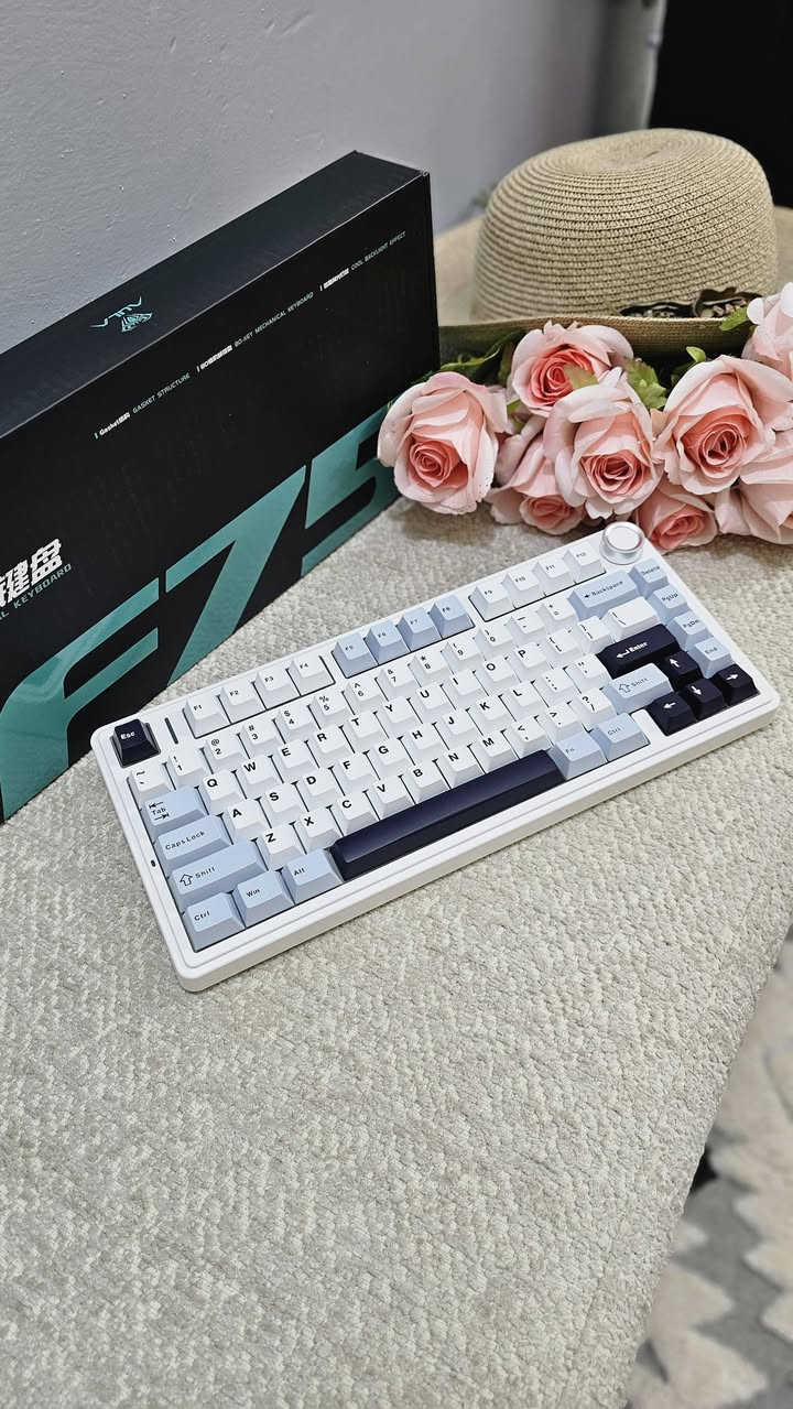 كيبورد ميكانيكي aula f75


**إذا كنت صاحب هذا الإعلان وتريد حذفه لأي سبب، رجاءا أرسل رسالة إلى الدعم الفني**