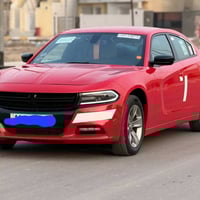 جارجر 2017 • مرمز 2022 • كشنات جلد