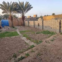 حاوي العباس • ٣٠٠م • كافة الخدمات