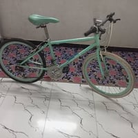 بيسكل ياباني • حجم ٢٤